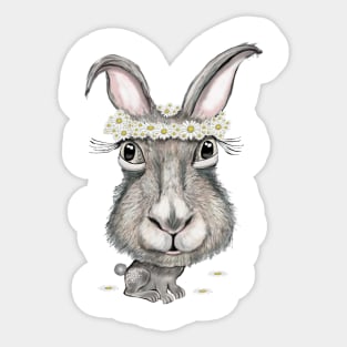 Rabbit With Sticker